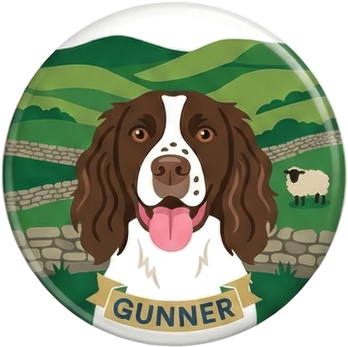 Gunner the Springer Spaniel, Social Media Manager at Paul Walker Creative